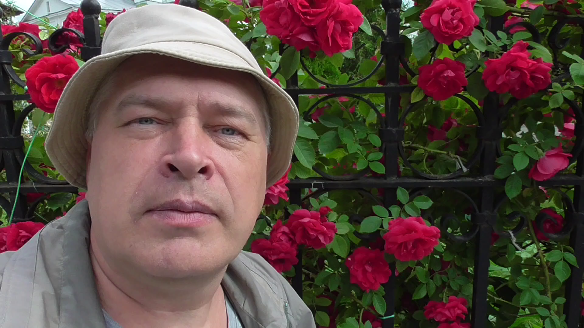 Видео про цветы: красная роза, 2024 год