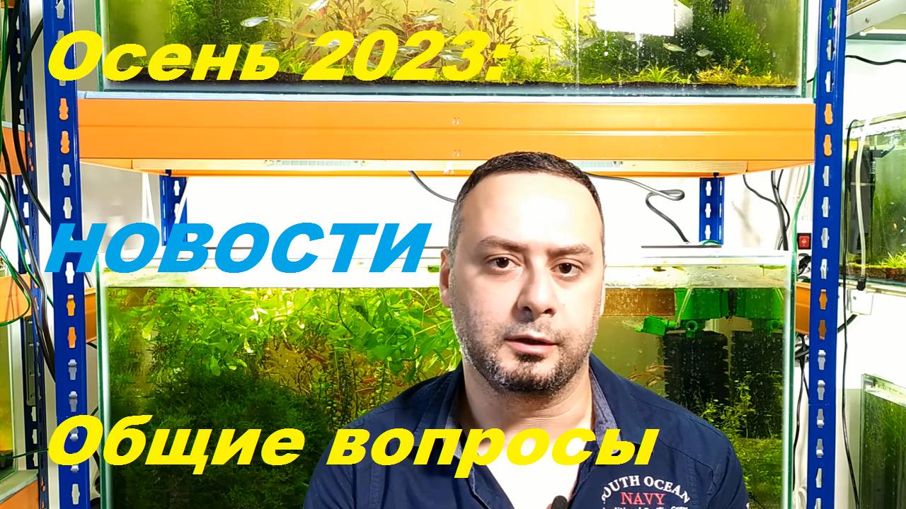 Осень 2023. Обо всем понемногу. (Архив от 5.10.2023)