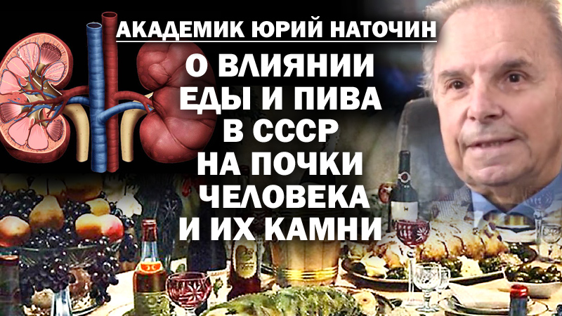 Академик Наточин о влиянии настоящей еды и пива в СССР  на человеческую почку и её камни / #ЗАУГЛОМ