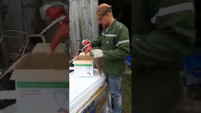 Картушник!