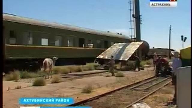 В Астраханской области снимают детскую киноленту Небесный верблюд