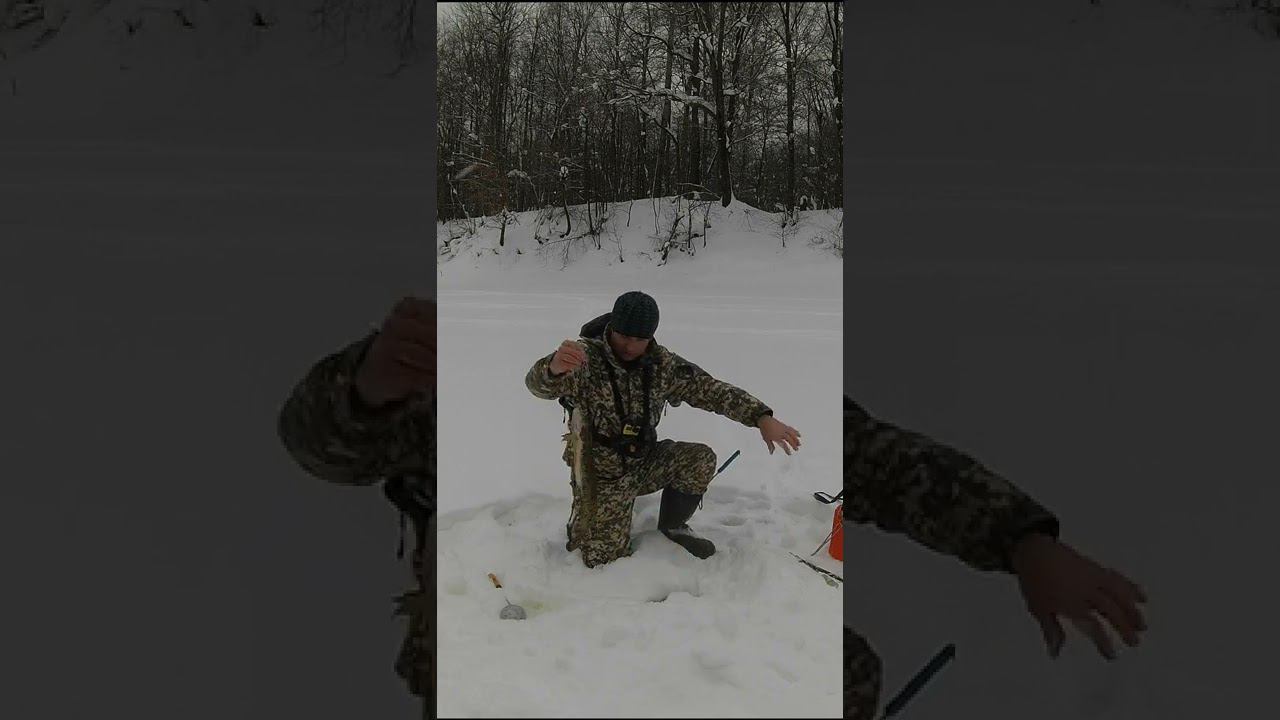 И СНОВА ОН ПОПАЛСЯ река Керженец Нижегородская область