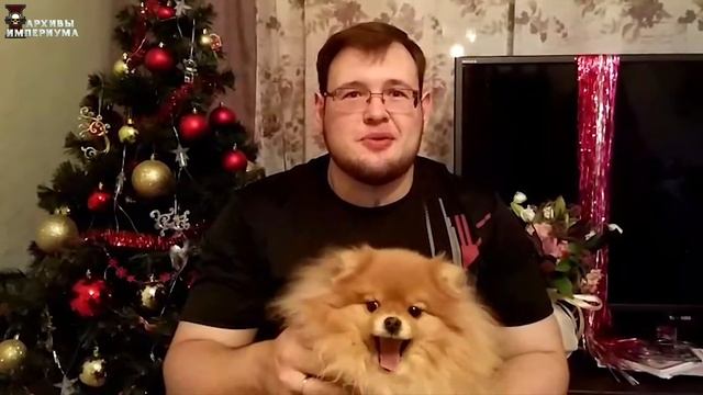 Архивы Империума - Новогодний марафон - Цезарь