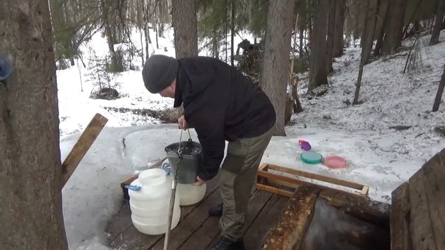 Вербное воскресение 2020