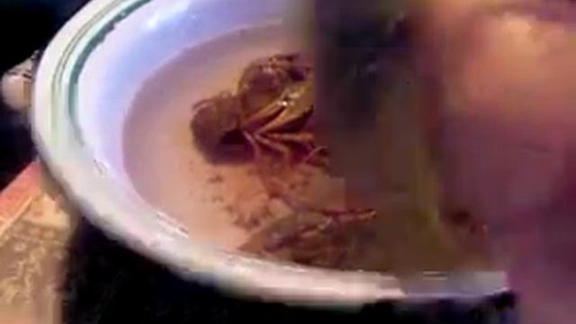 РАКИ