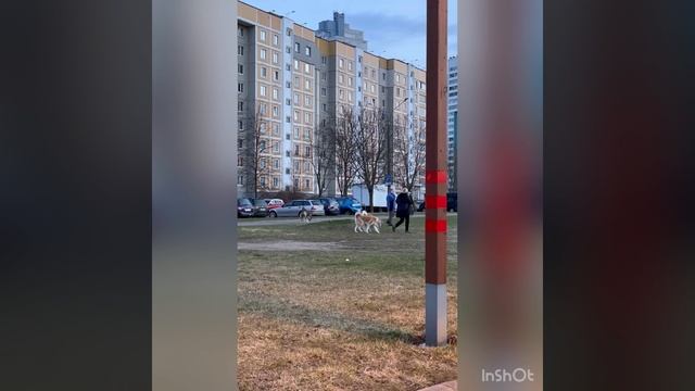 Минск