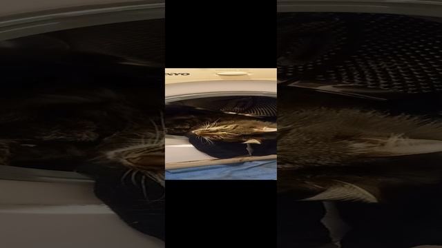 20220116_215146.mp4