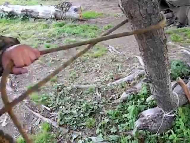 Привязка лошади