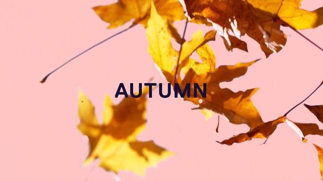 Autumn  Lofi Jazz  Chillout