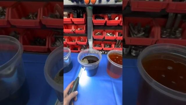 Школа Октавия на замену масла в DSG-7