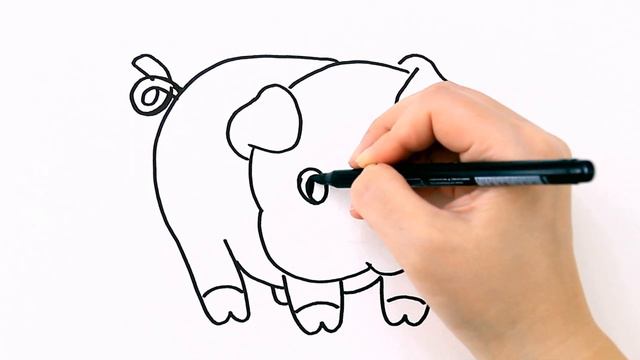 How to draw a pig . Drawing for beginners  / MimiDom Art