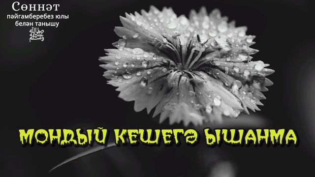 Мондый кешегә ышанма | Рамил Гәйнетдинов
