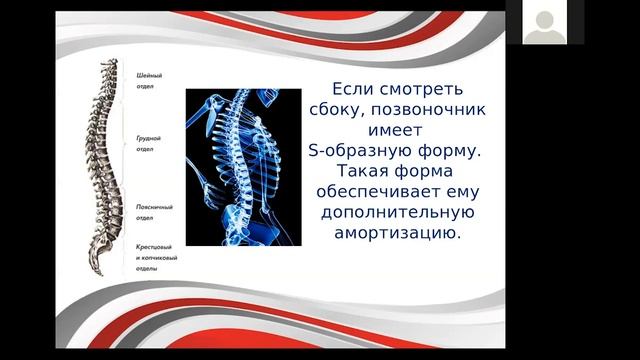 Здоровый позвоночник. Ведет Алена Попружная. Часть 1