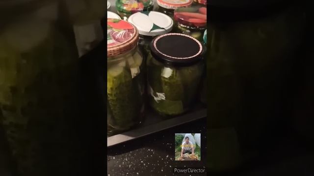 Отличный способ засолки огурцов