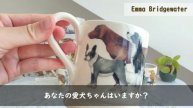 【イギリスの可愛い雑貨たち】を紹介します。【犬猫雑貨編】│エマブリッジウォーターなど│わんにゃん雑貨│ヴィンテージ│夏のイギリス散歩