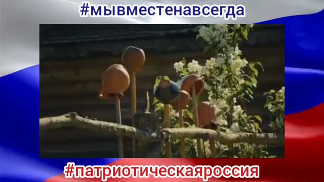 SHAMAN  -  Душа Нараспашку ❤🇷🇺 #мывместенавсегда #патриотическаяроссия