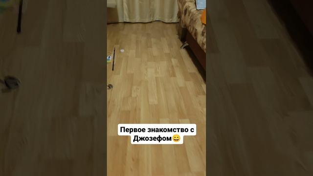 Первое знакомство с Джозефом ?