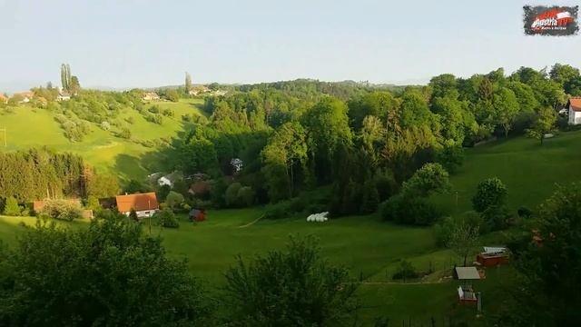 Летняя минутка с моего двора