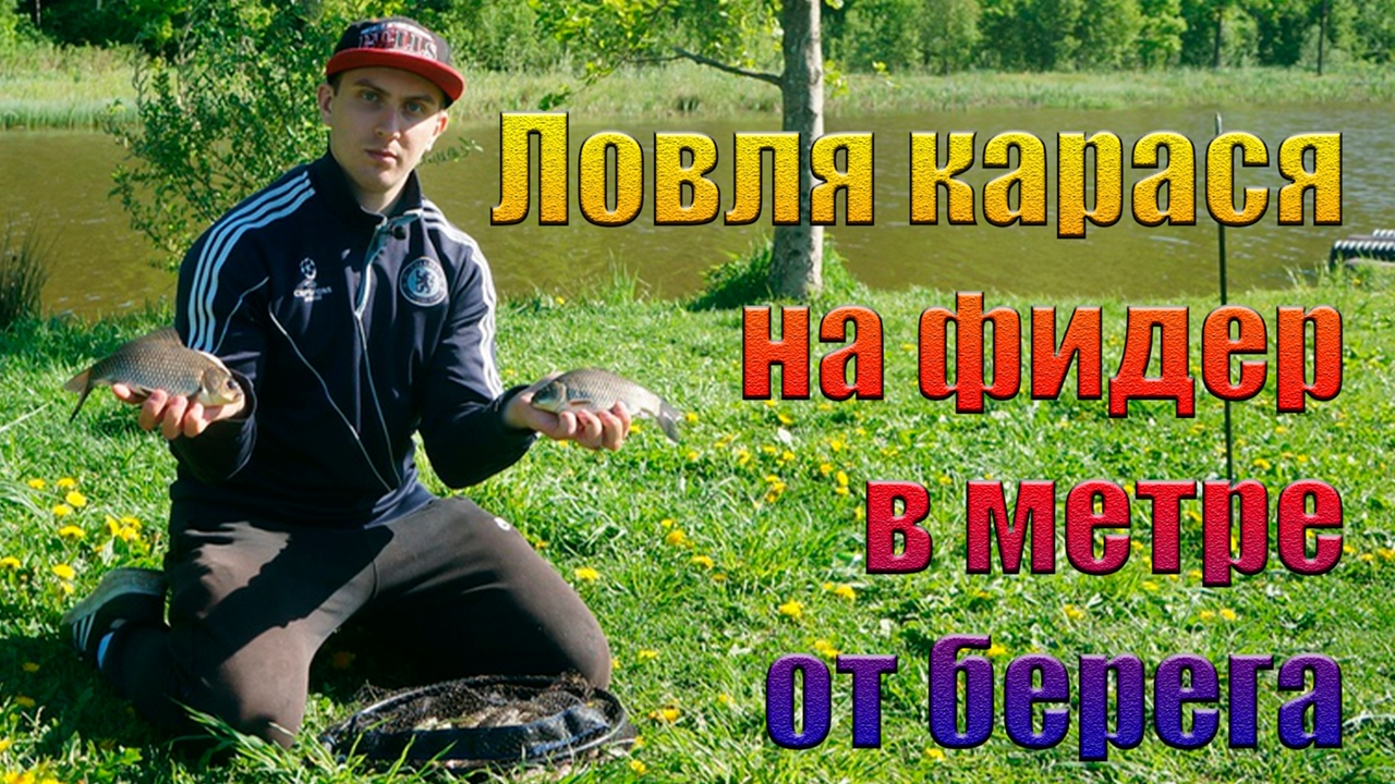 Ловля карася на фидер в метре от берега. Карась из под стены травы