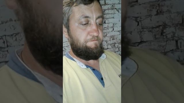 Напольное содержание бройлеров или счастливая птица.