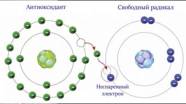 Оксидативный стресс|| Окислительный стресс|| Антиоксиданты