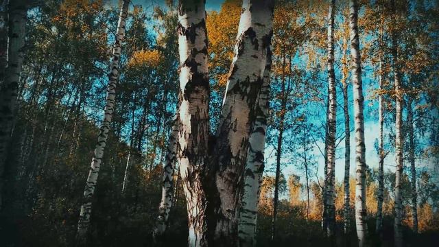khmuryy sentyabr - выше (soa dreams - nothing)