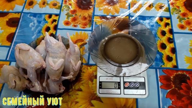 Вес тушки самца перепела в 2 месяца на домашнем корме