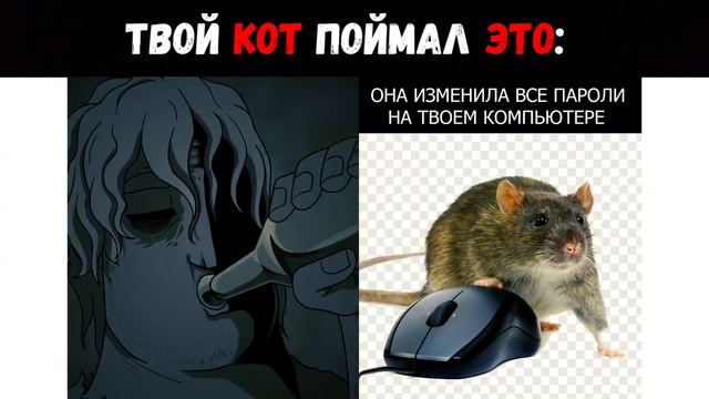 Твой кот поймал это | Мистер Исключительный Мем #33