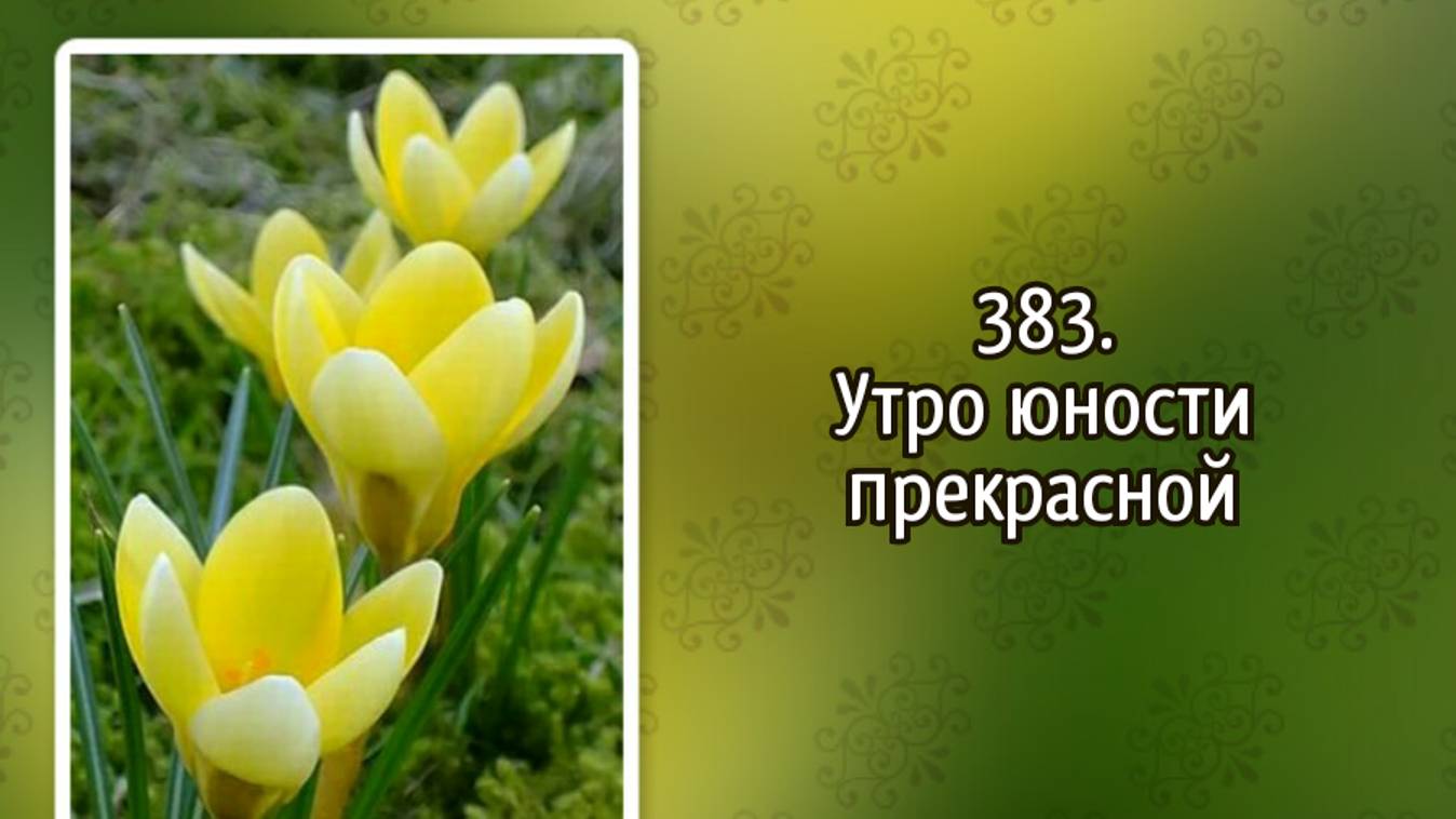 Гимны надежды 383 Утро юности прекрасной (-)