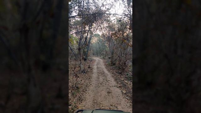 Canon R6 still worth buying in 2022? Wildlife photographer's long term review