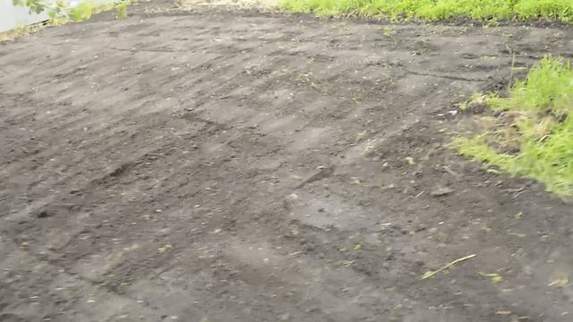 Газон своими руками