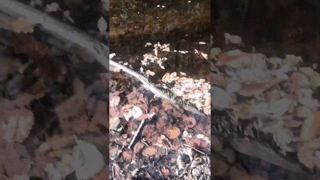 Природа КБР, водопад в Черек Хуламском ущелье 06.11.2023