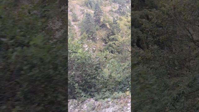 абхазия