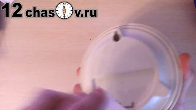 Японские настольно  настенные влагозащищенные часы Rhythm 4KG652WR03