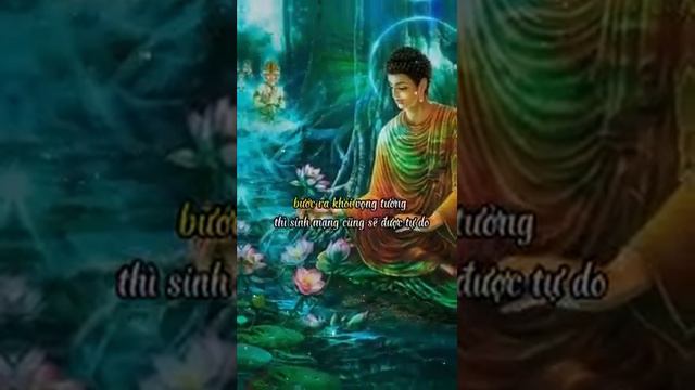 phật nói về luân hồi