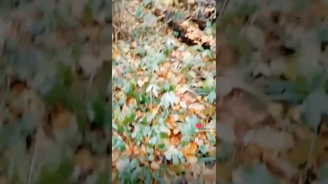 ВООБРАЖАЛОВО - эпизод 4