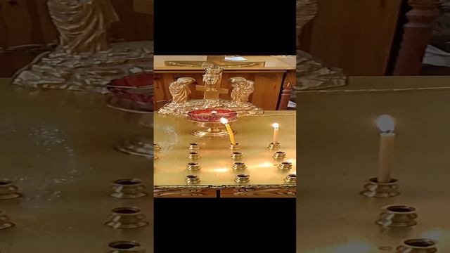 #Vidправославия