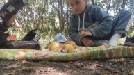пикник в лесу