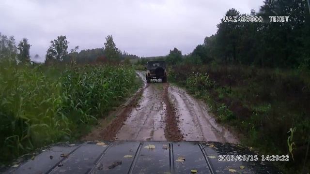 Кукурузные поля.mp4