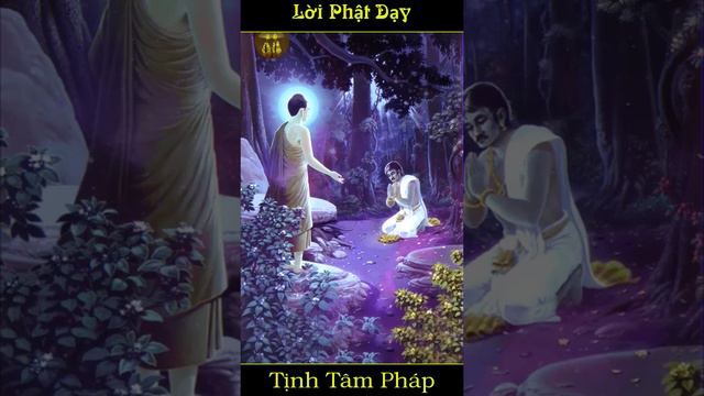 6 Điềm Lành Mà Người Mệnh Tốt Sở Hữu - Lời Phật Dạy | Tịnh Tâm Pháp #phatphap