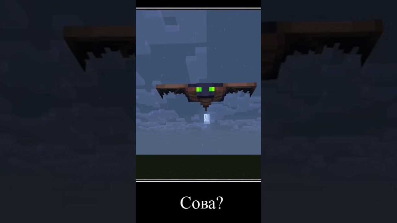 А Я ДУМАЛА СОВА! #вреки #minecraft #врекомендации #майнкрафт #топ #tiktok