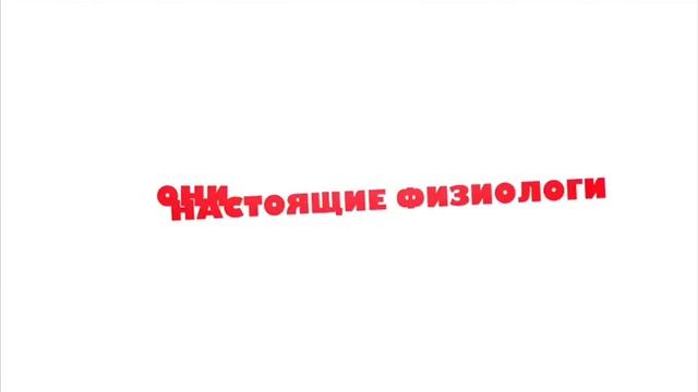 Видео-объявление.mp4