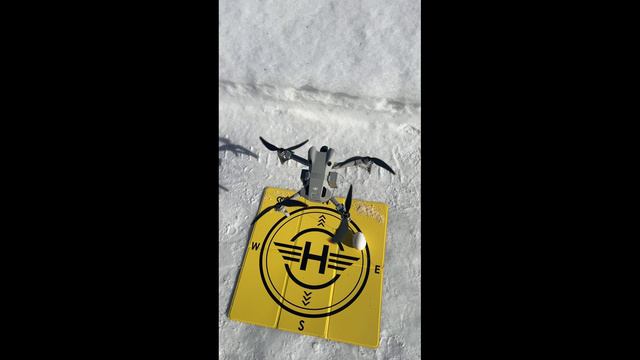 Случай с яйцом DJI 4 Pro Mini