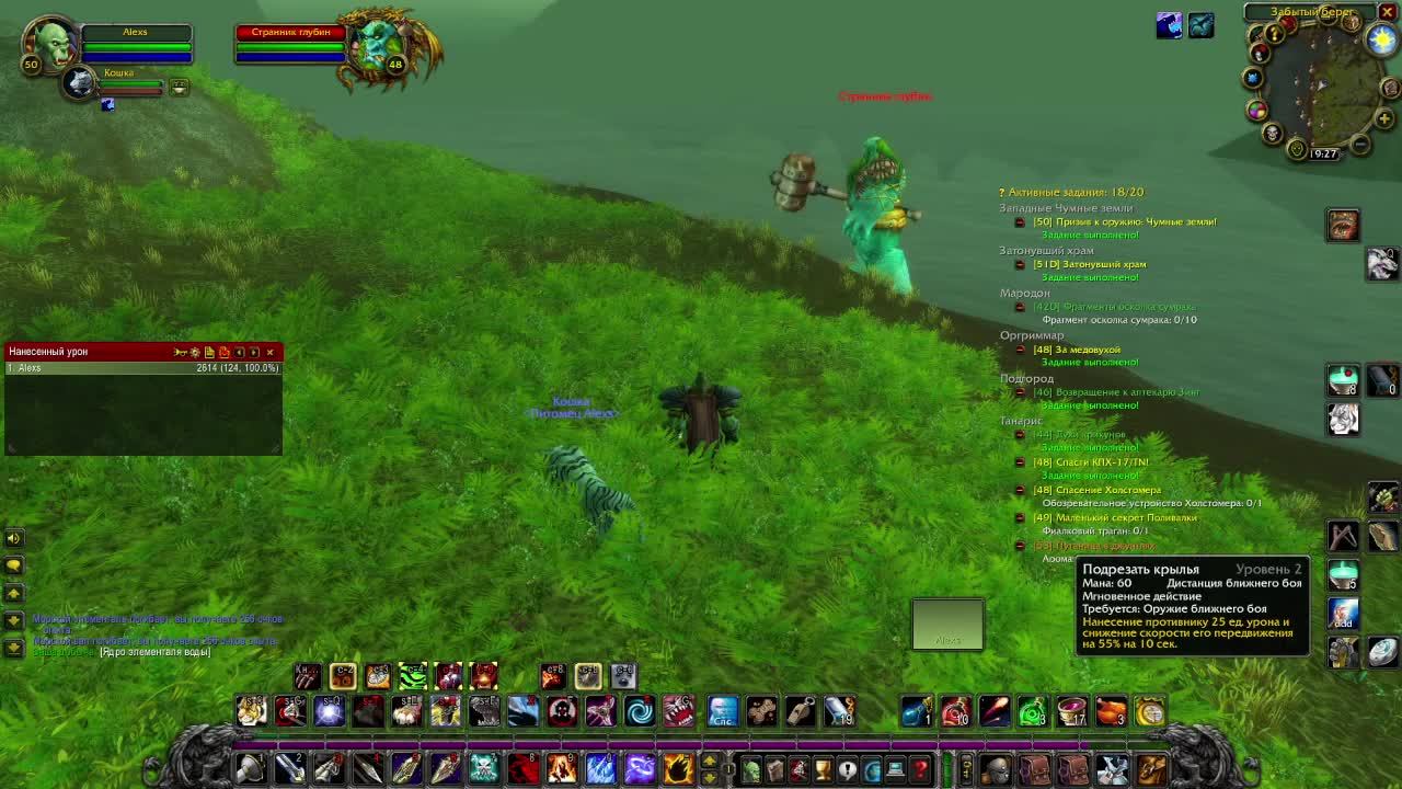 WoW HC Classic 1 жизнь