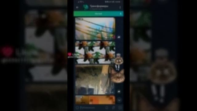 1000003715.mp4