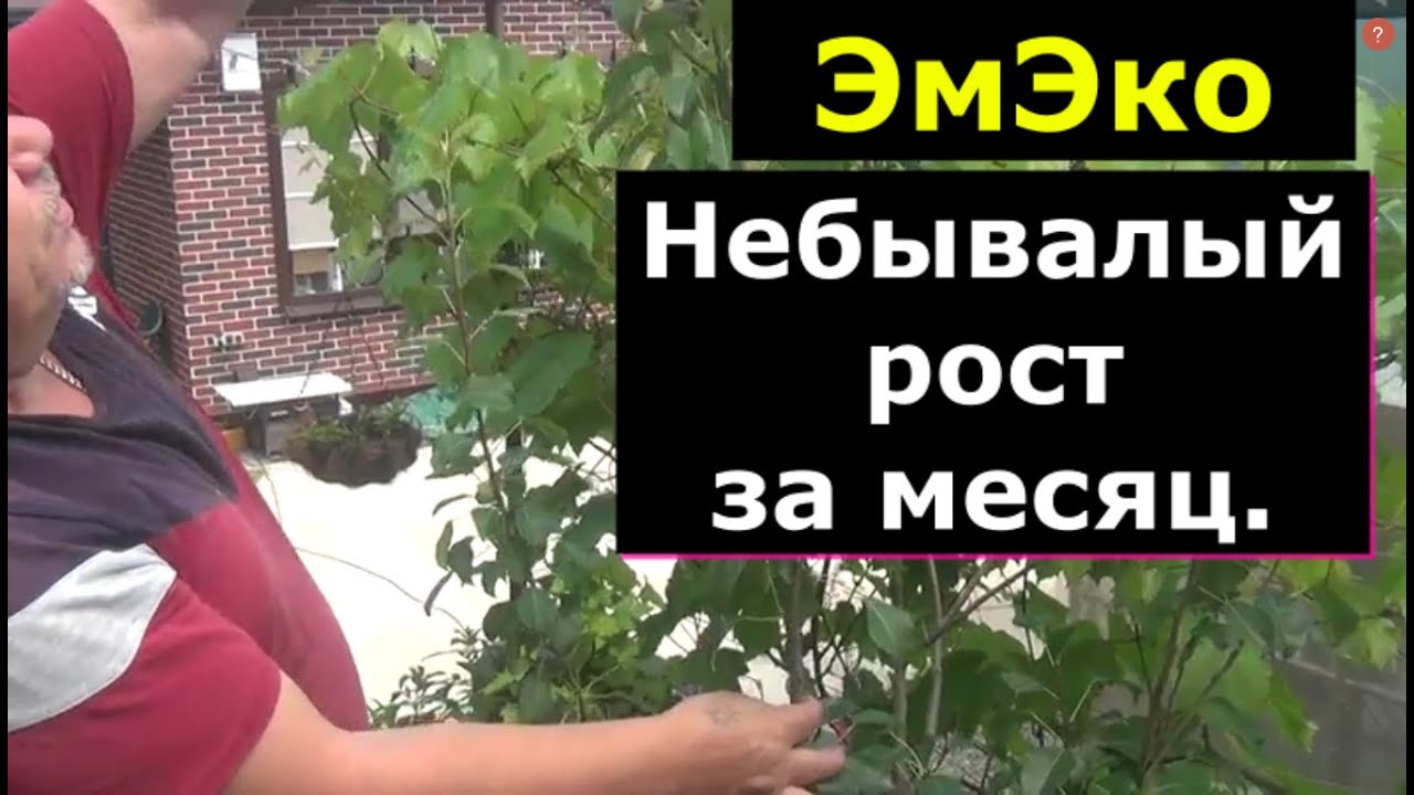 Как сделать чтобы удвоить прирост и восстановить засоленные почвы.