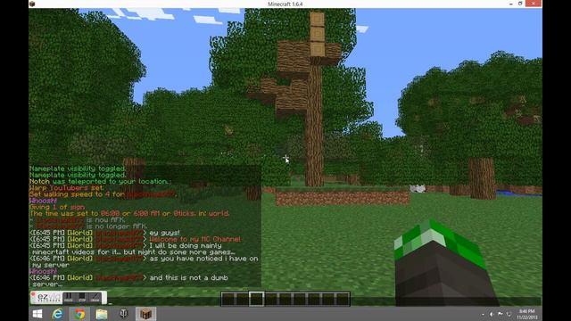 Minecraft Server (needs staff)