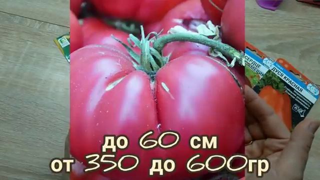САМЫЕ УРОЖАЙНЫЕ И ВКУСНЫЕ ТОМАТЫ на 2022 г. Обзор