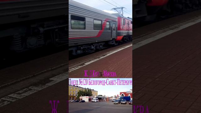 Поезд №120 Белгород-Санкт-Петербур    #shortsvideo