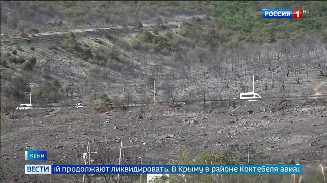 Россия 1_О борьбе с лесными пожарами в России